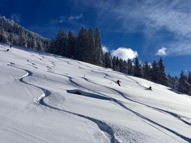 Holiday Flat Daniela, Hippach Im Zillertal Bagian luar foto